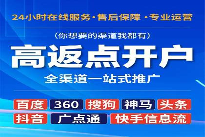 百度竞价赚钱的实战案例分析